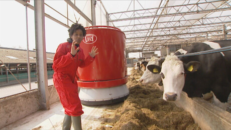 Het Klokhuis | Boerderij van de toekomst